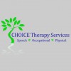 Choice Therapy Services