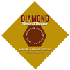 Diamond Physical Therapy Of Ligonier